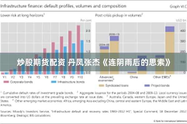 炒股期货配资 丹凤张杰《连阴雨后的思索》