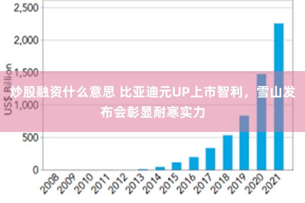 炒股融资什么意思 比亚迪元UP上市智利，雪山发布会彰显耐寒实力