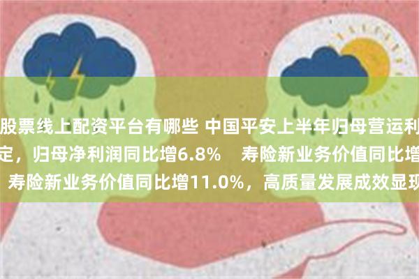 股票线上配资平台有哪些 中国平安上半年归母营运利润、中期派息