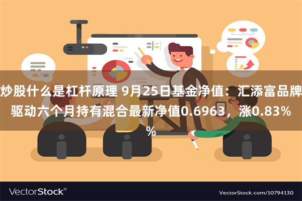 炒股什么是杠杆原理 9月25日基金净值：汇添富品牌驱动六个月