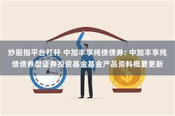 炒股指平台杠杆 中加丰享纯债债券: 中加丰享纯债债券型证券投