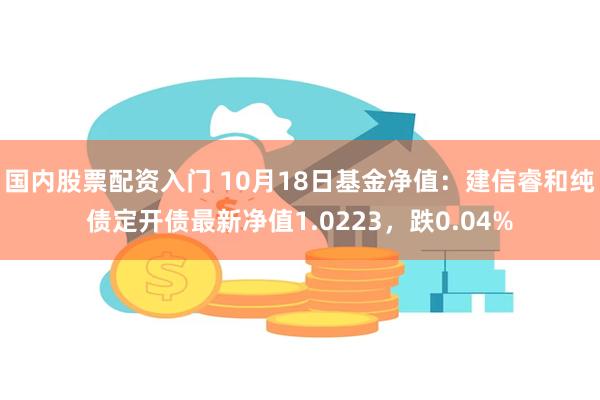 国内股票配资入门 10月18日基金净值：建信睿和纯债定开债最