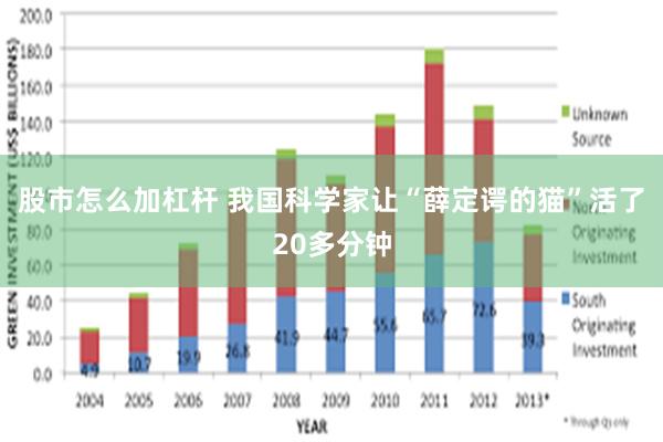 股市怎么加杠杆 我国科学家让“薛定谔的猫”活了20多分钟