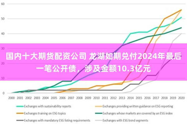 国内十大期货配资公司 龙湖如期兑付2024年最后一笔公开债，涉及金额10.3亿元