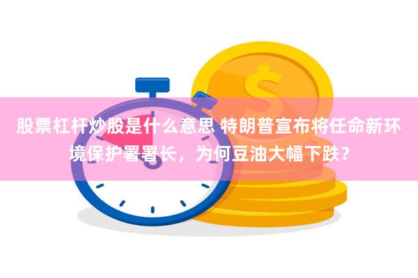 股票杠杆炒股是什么意思 特朗普宣布将任命新环境保护署署长，为何豆油大幅下跌？