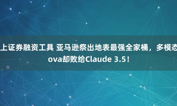 线上证券融资工具 亚马逊祭出地表最强全家桶，多模态Nova却败给Claude 3.5！