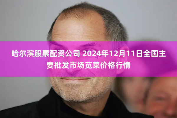 哈尔滨股票配资公司 2024年12月11日全国主要批发市场苋菜价格行情