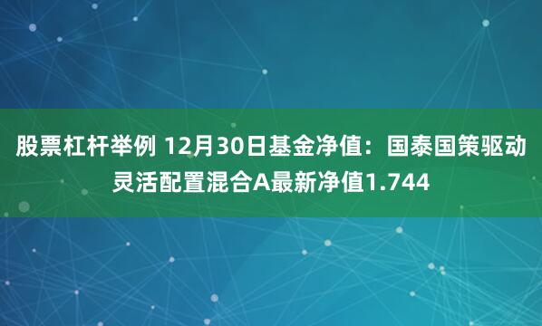 股票杠杆举例 12月30日基金净值：国泰国策驱动灵活配置混合A最新净值1.744