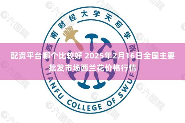 配资平台哪个比较好 2025年2月16日全国主要批发市场西兰花价格行情