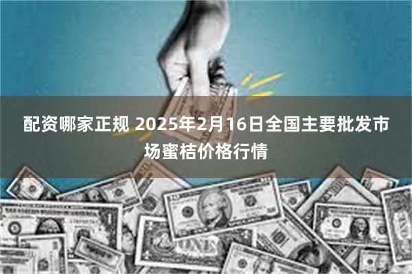 配资哪家正规 2025年2月16日全国主要批发市场蜜桔价格行情