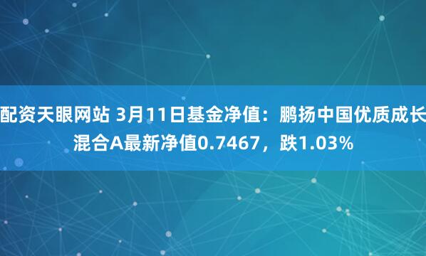 配资天眼网站 3月11日基金净值：鹏扬中国优质成长混合A最新净值0.7467，跌1.03%