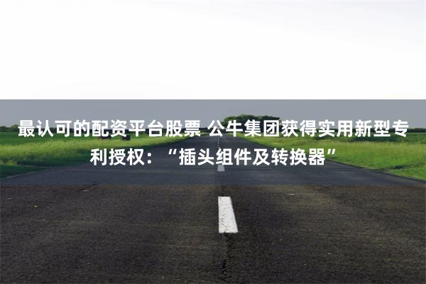 最认可的配资平台股票 公牛集团获得实用新型专利授权：“插头组件及转换器”